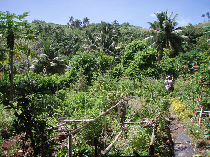 Fruit Garden