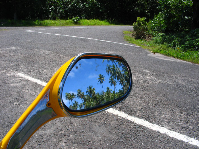 Into the Looking Glass - by Ann Cline