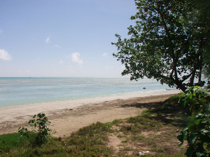 Pan eastern shore 5