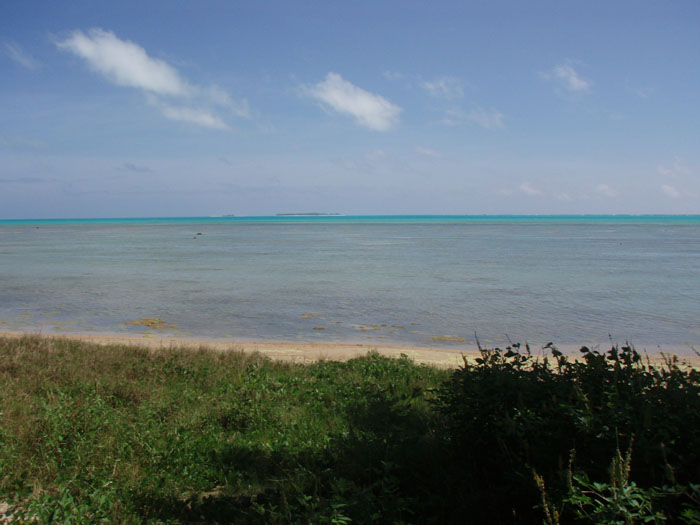 Survivor Movie set - One Foot Island