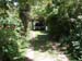 Nice drive way