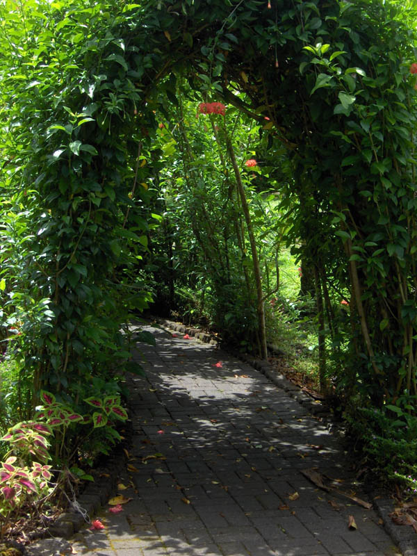 Arch