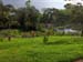 A Perfect Park for a Picnic