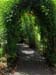 Arch
