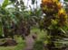 Fantastic Garden