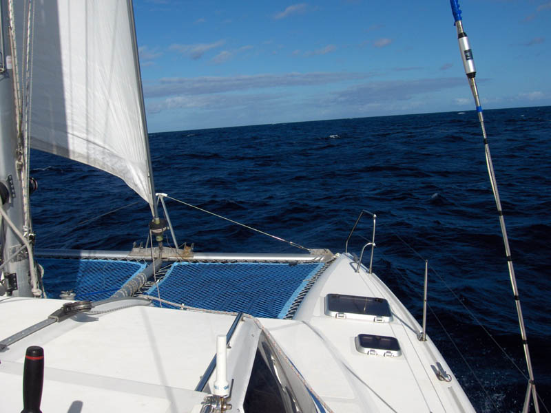 Just another stinking day of perfect sailing