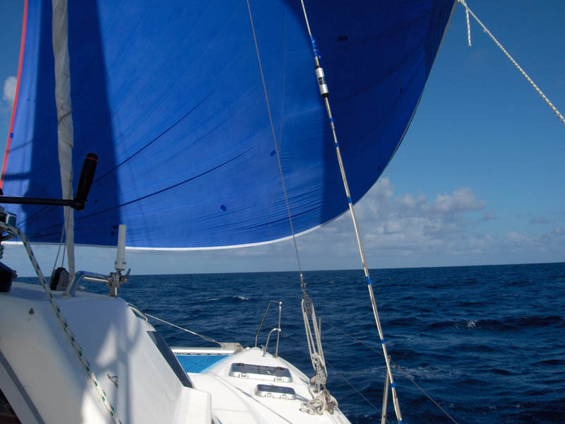 Lotsa down wind work
