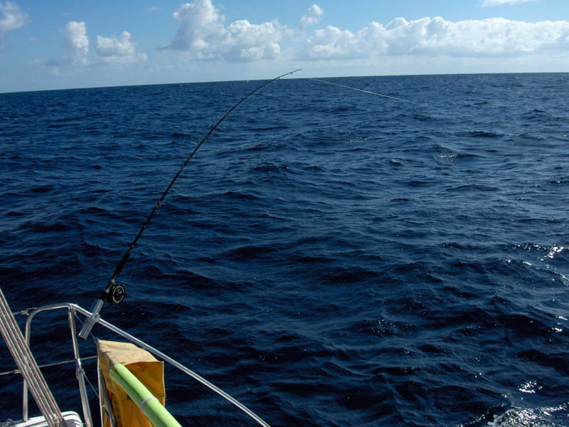 Note fishing rod off the back