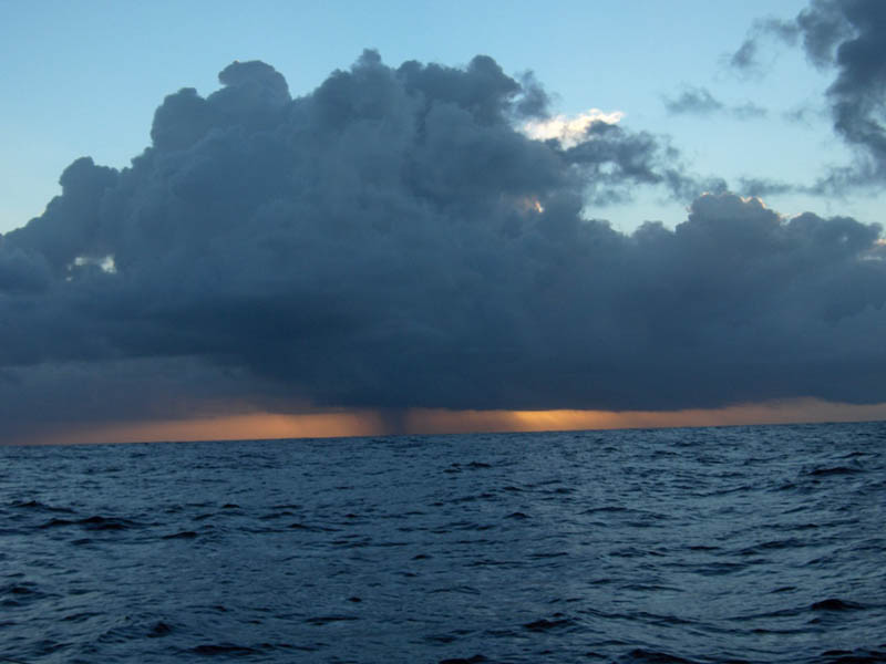 Picture Perfect Squall