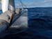 Leeward bow at speed