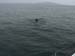 San Quintin 003