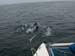 San Quintin 007