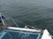 San Quintin 009