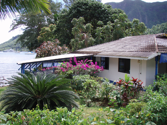 Cool House