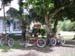 Fruit laden bikes