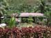 Nice Garden