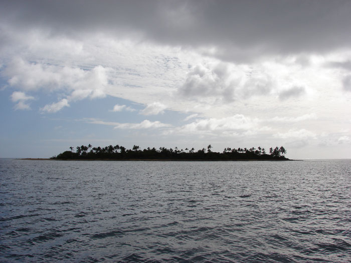 Island by Lee Wolff